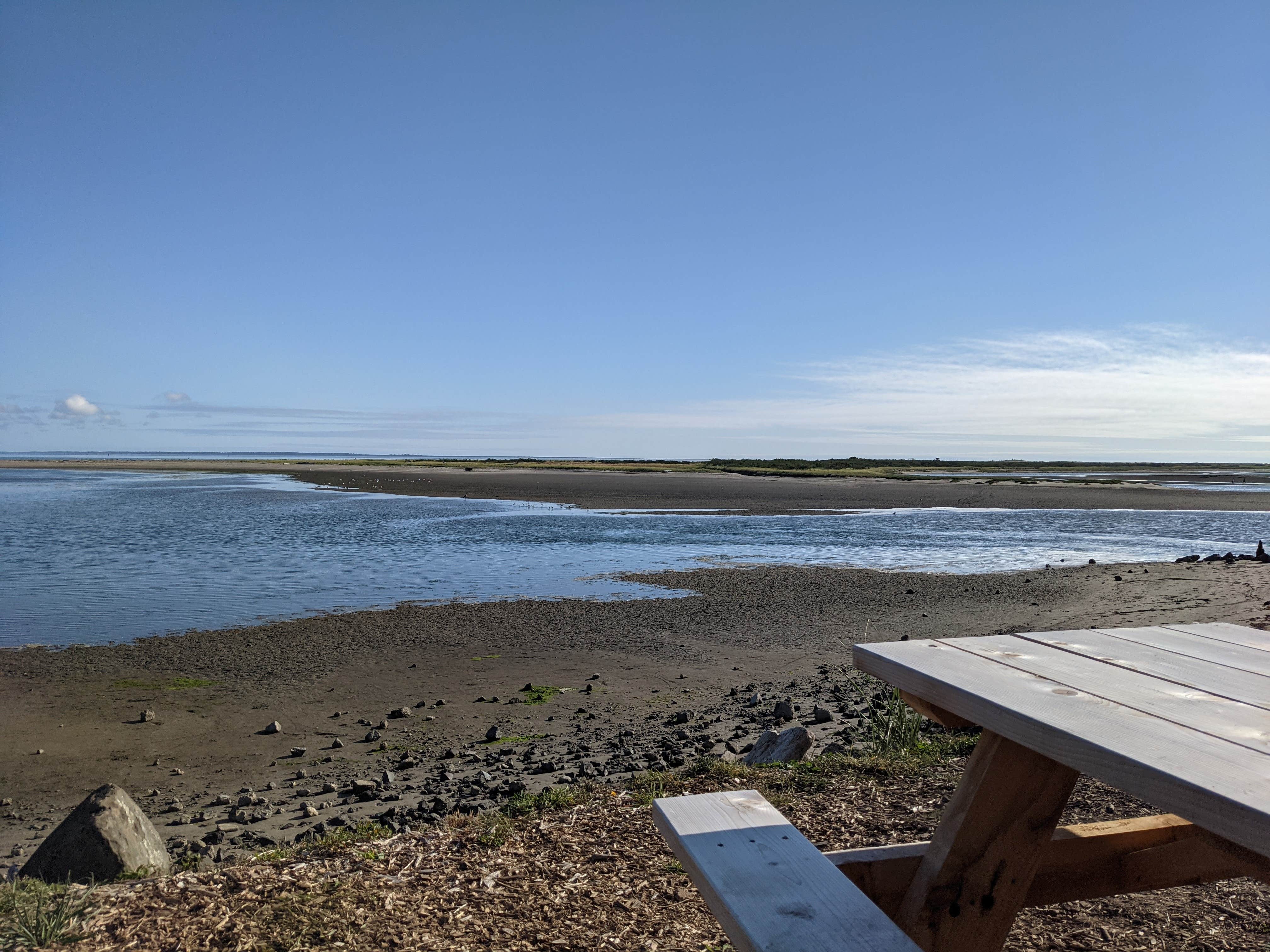 Camper submitted image from Bayshore RV Park & Guest Suites - 3