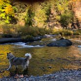 Review photo of River Bend County Park by Kathy B., July 20, 2021