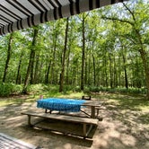 Review photo of Turkey Swamp Park by David R., July 20, 2021