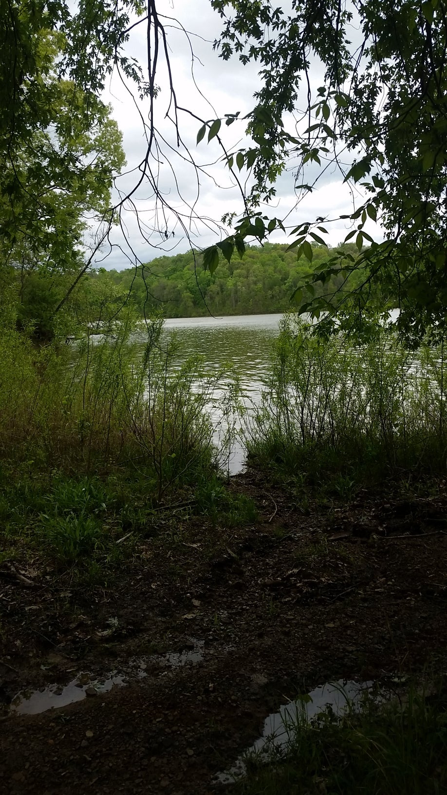 Camper submitted image from Salt Fork State Park Campground - 3