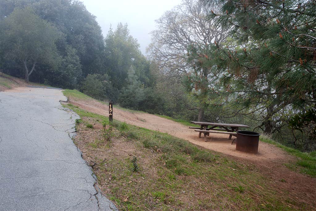 Camper-submitted photo at Anchor Woods Campground near Trego, WI