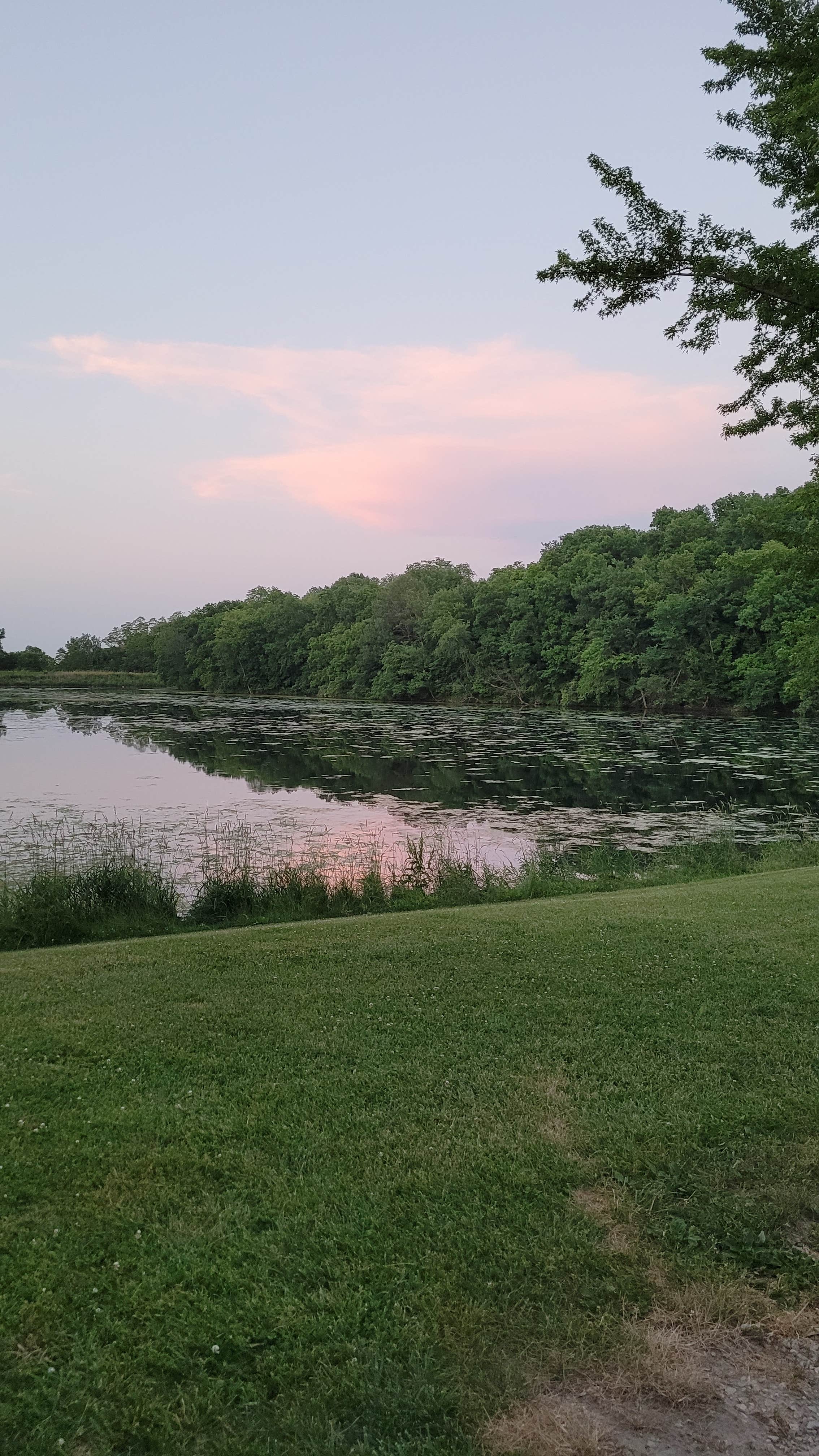 Camper-submitted photo at Rodgers County Park near Shellsburg, IA