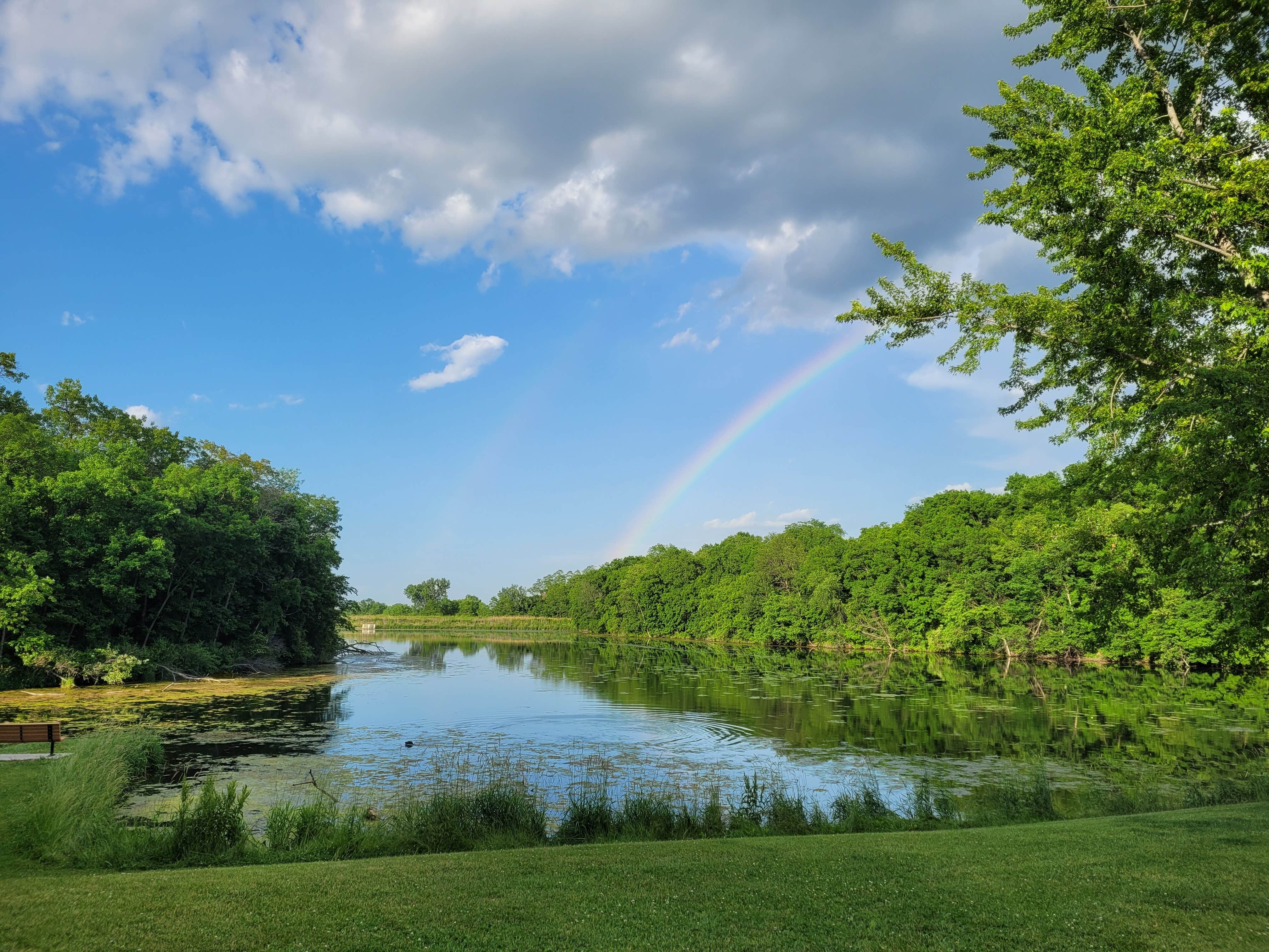 Camper submitted image from Rodgers County Park - 2