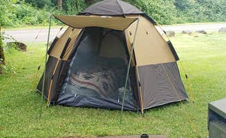 Jessica B.'s photo at Waterloo County Park near Lebanon, OR