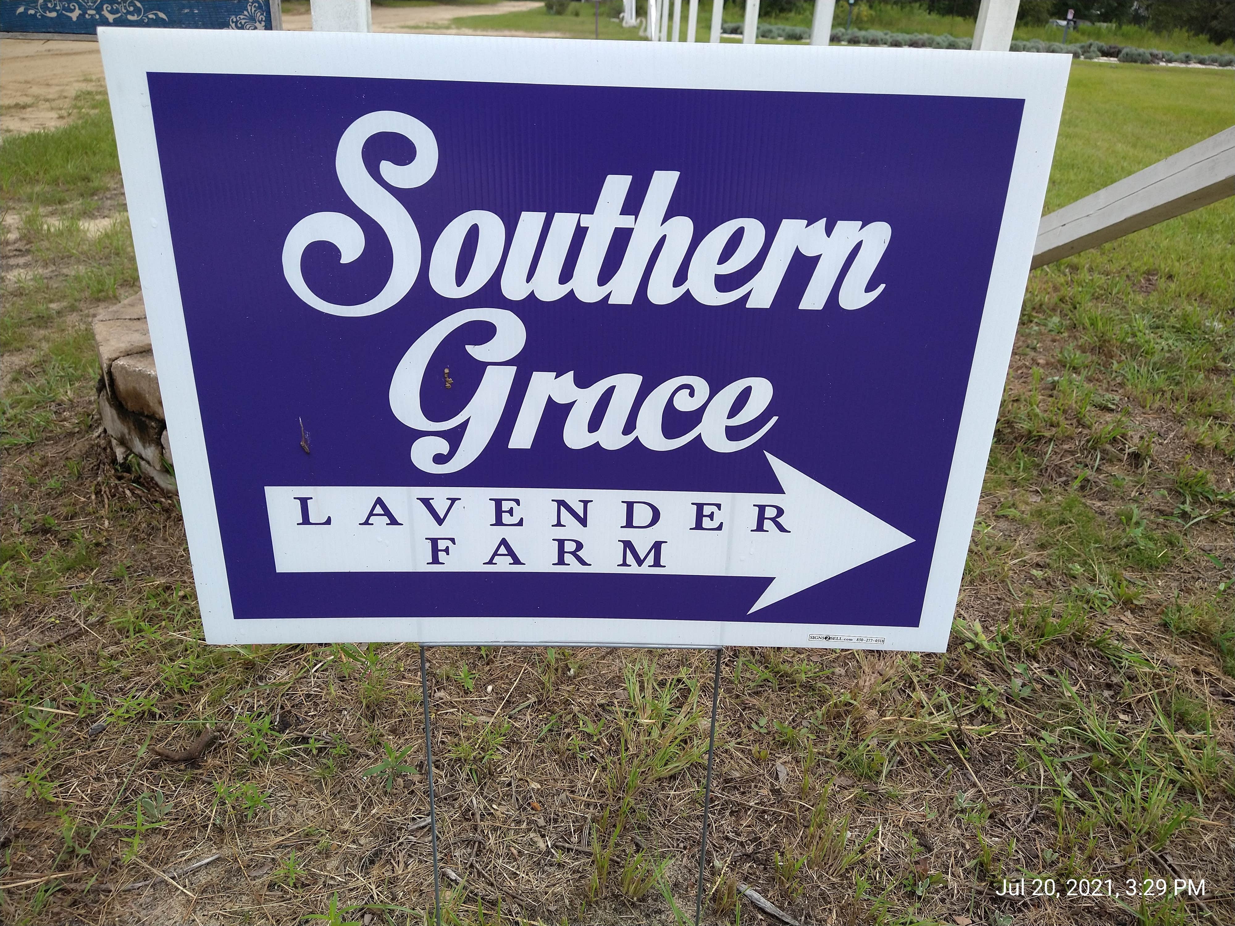 Camper-submitted photo at Southern Grace Lavender Farm near Ebro, FL