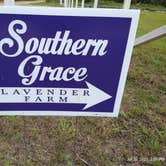 Review photo of Southern Grace Lavender Farm by Neil B., July 20, 2021