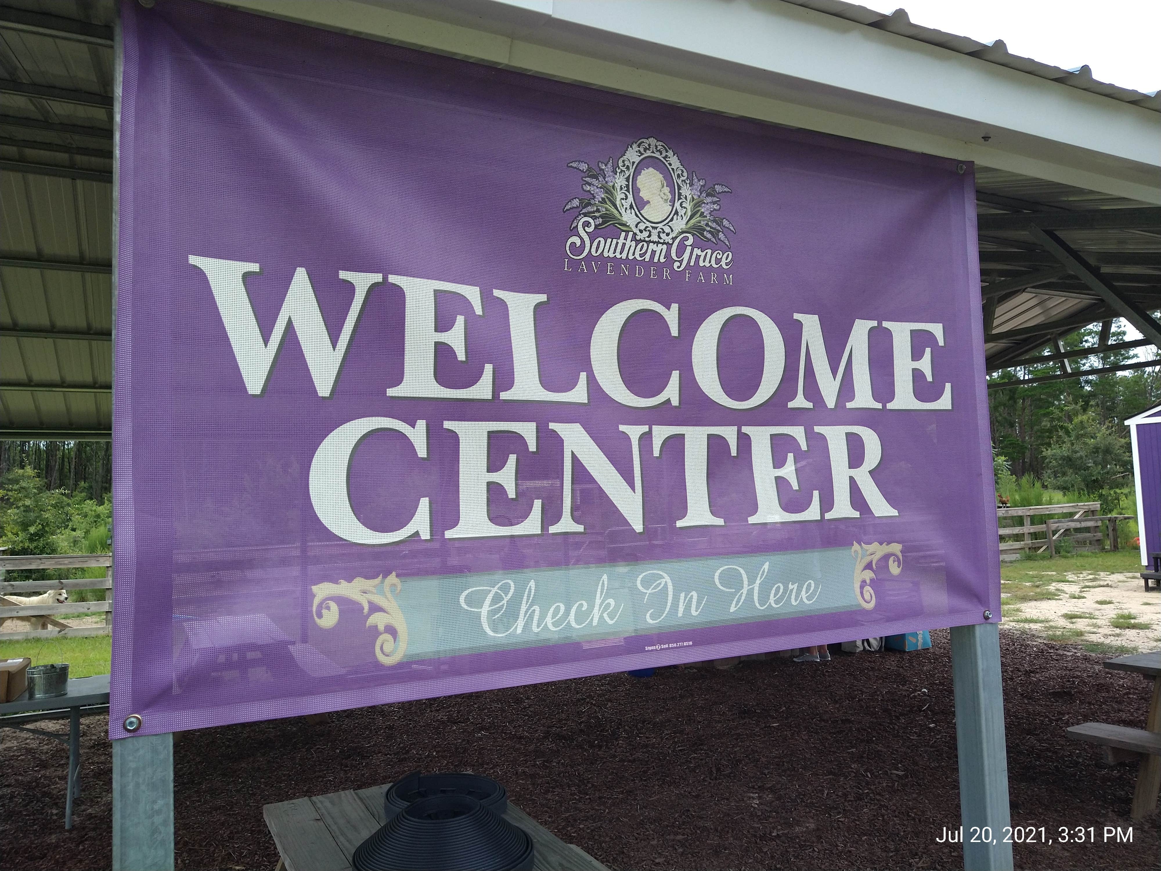 Camper-submitted photo at Southern Grace Lavender Farm near Ebro, FL