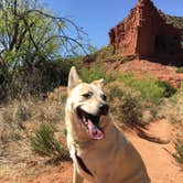 Review photo of Honey Flat Camping Area — Caprock Canyons State Park by Tori M., June 15, 2018