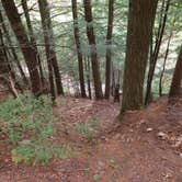 Review photo of Copper Falls State Park Campground by Debra M., July 20, 2021