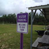 Review photo of Southern Grace Lavender Farm by Neil B., July 20, 2021