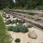 Review photo of Southern Grace Lavender Farm by Neil B., July 20, 2021