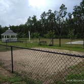 Review photo of Southern Grace Lavender Farm by Neil B., July 20, 2021