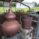 Review photo of Southern Grace Lavender Farm by Neil B., July 20, 2021