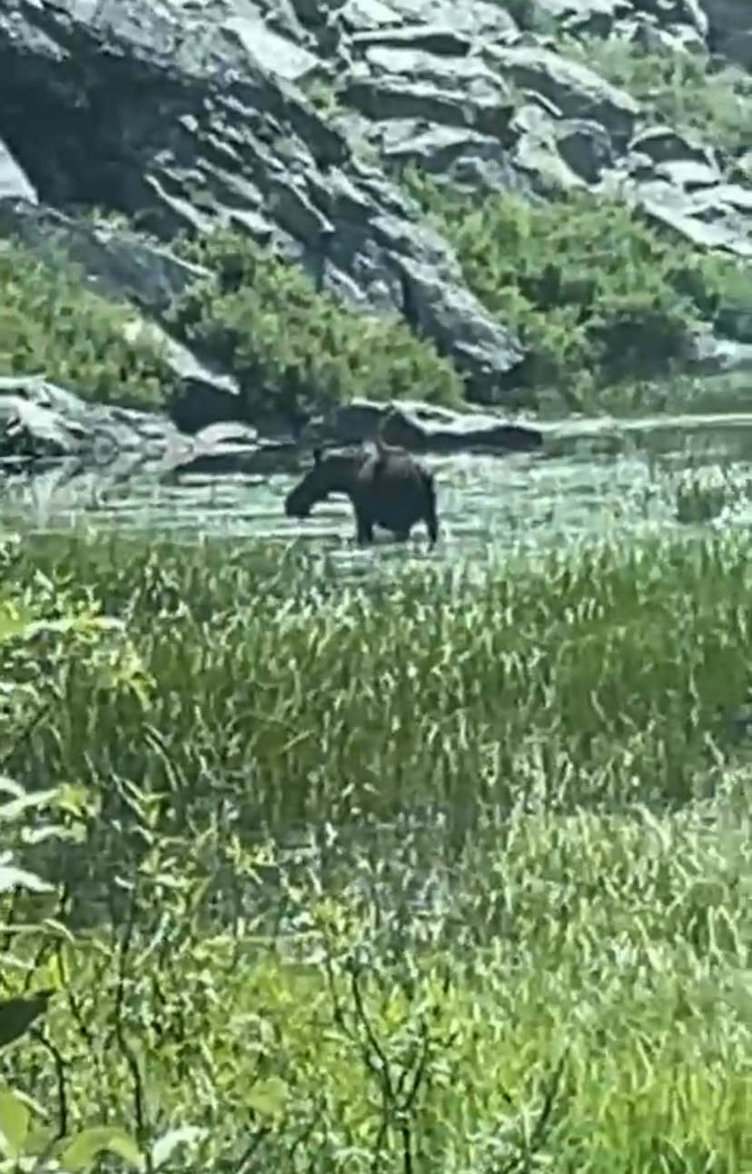 Camper-submitted photo at Northwest Passage Campground — Ponderosa State Park near Yellow Pine, ID