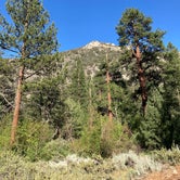 Review photo of Big Trees Campground by Christian N., July 20, 2021