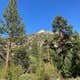 Big Trees Campground