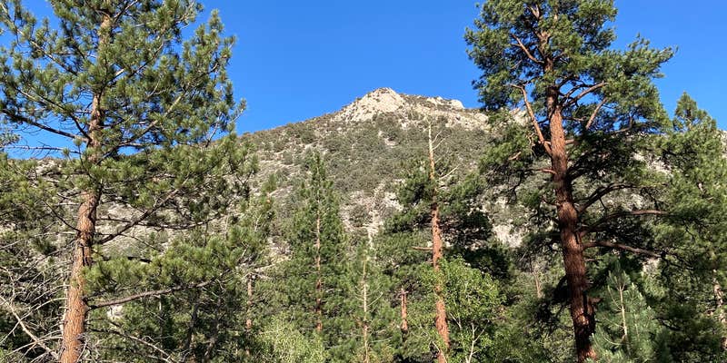 Camper submitted image from Big Trees Campground