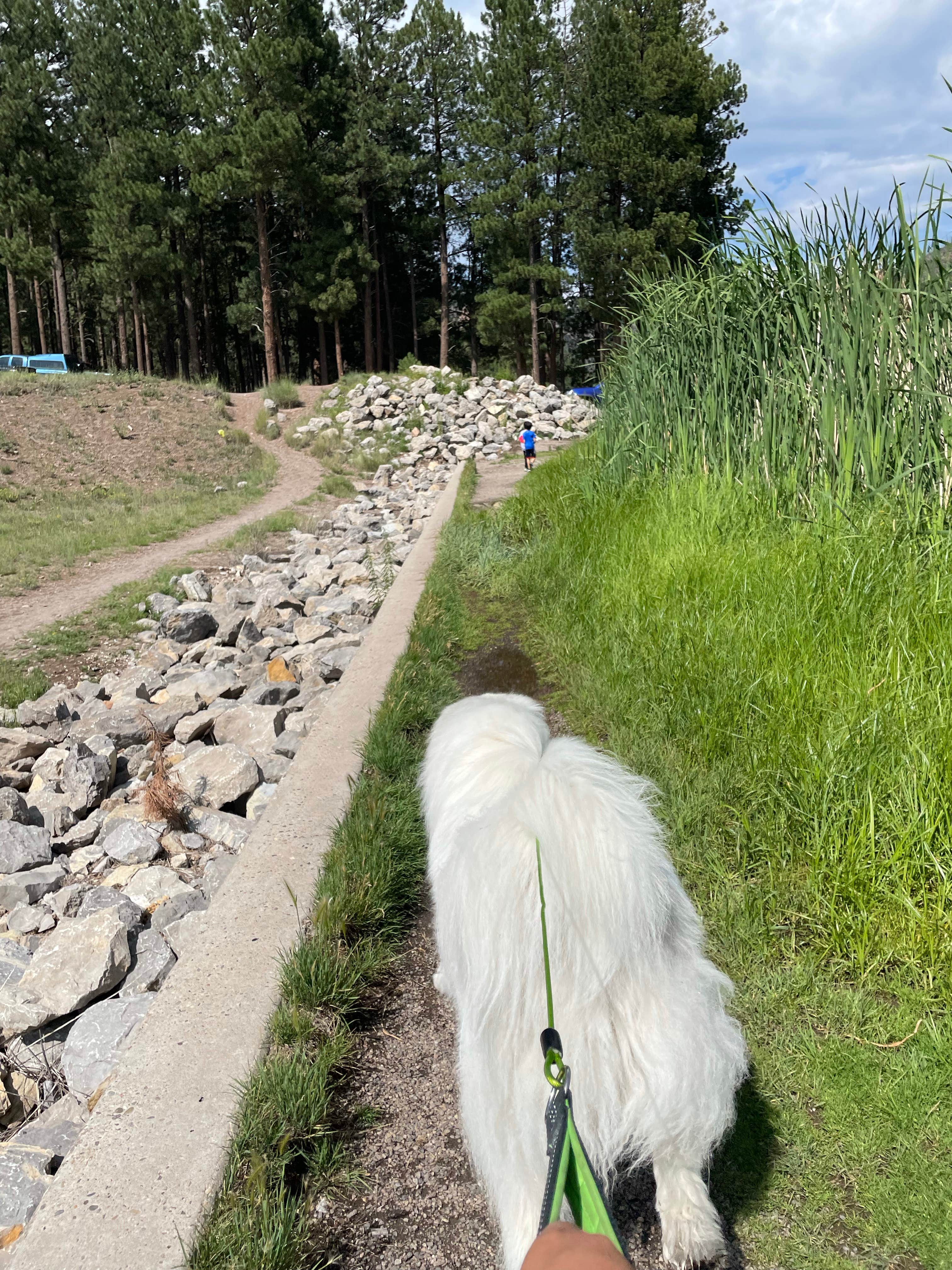 Katriza L.'s photo of camping with pets at Fenton Lake State Park Campground near Cuba, NM