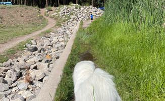 Katriza L.'s photo of camping with pets at Fenton Lake State Park Campground near Cuba, NM