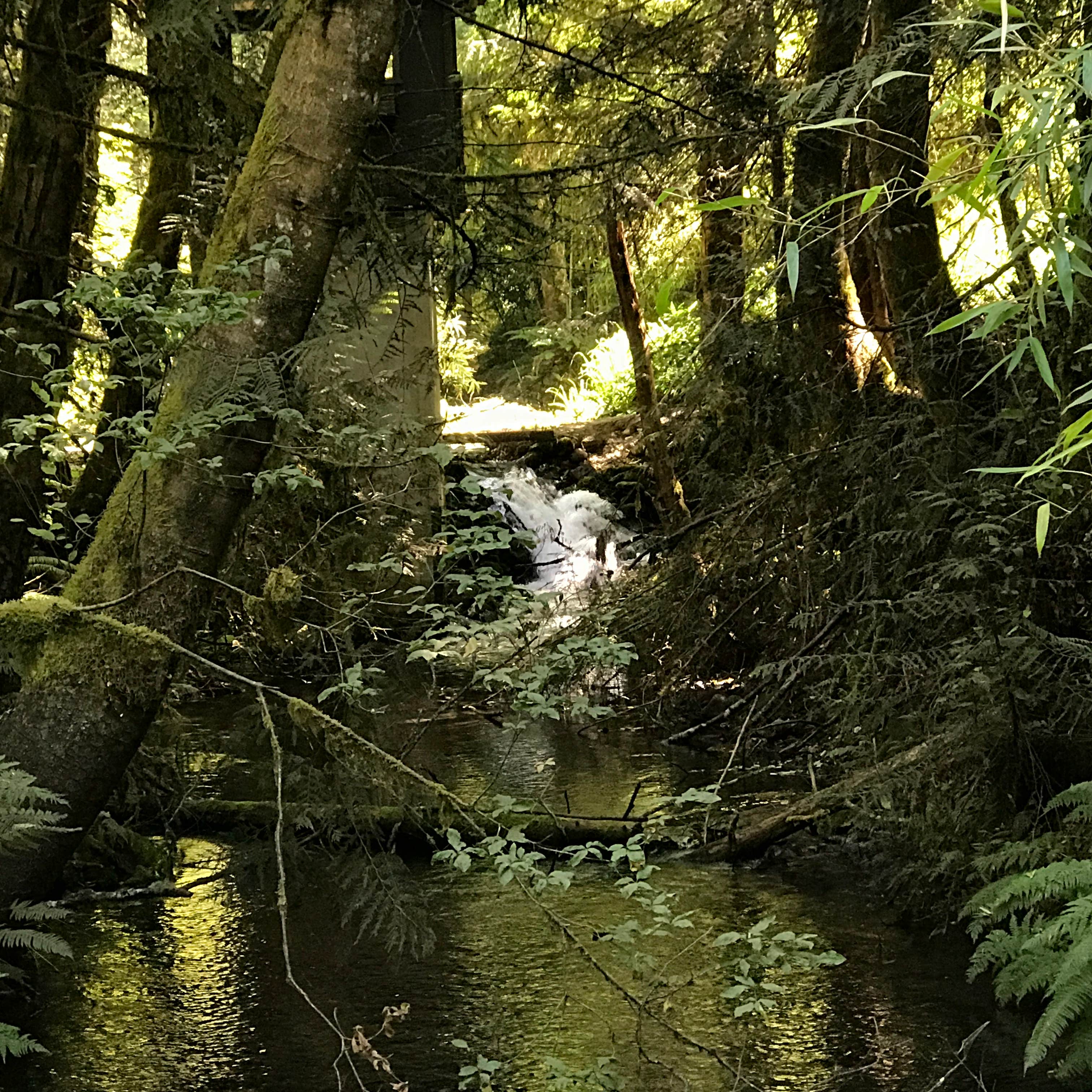 Belknap Hot Springs Lodge and Gardens Camping The Dyrt