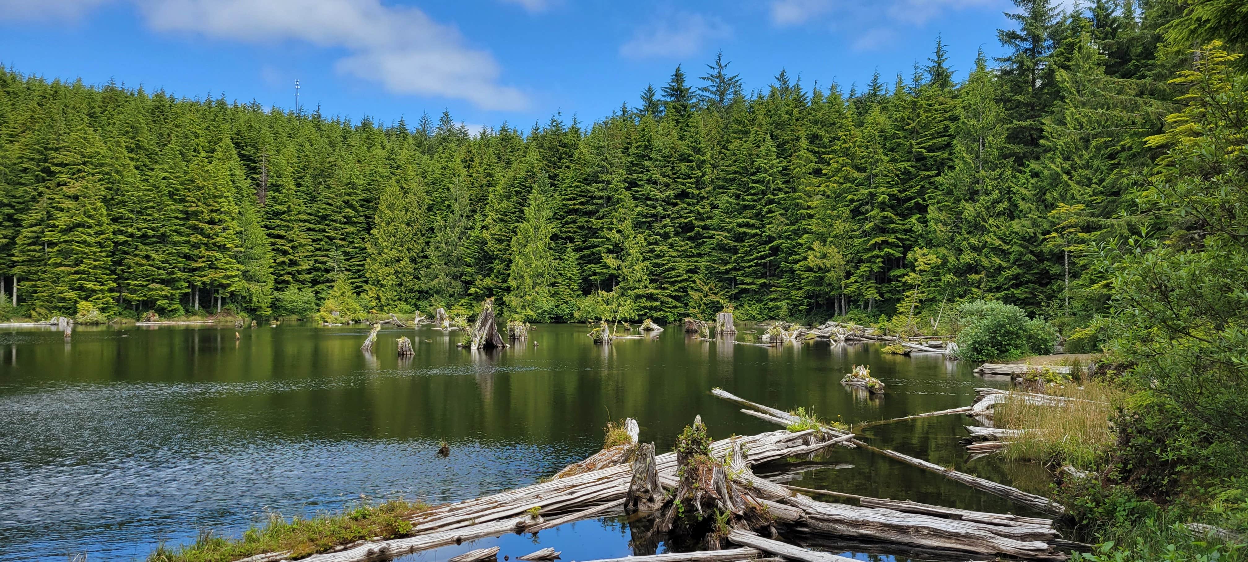 Snag Lake Campground Naselle, WA