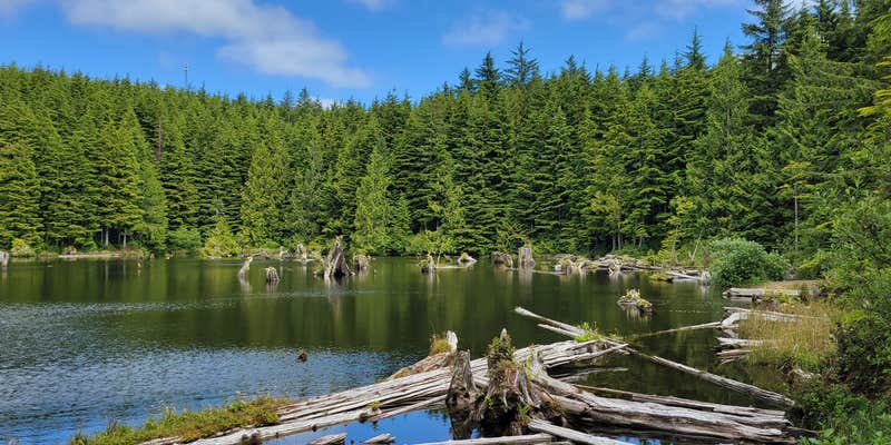 Camper submitted image from Snag Lake Campground