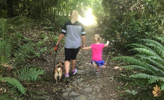 Josh K.'s photo of camping with pets at Belknap Hot Springs Lodge and Gardens near Willamette National Forest