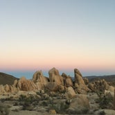 Review photo of White Tank Campground — Joshua Tree National Park by Andrew M., July 21, 2021
