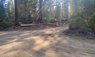 Camping near Dispersed Land in Sequoia National Forest: Sequoia National Park Dispersed campground, Johnsondale, California