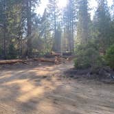 Review photo of Sequoia National Park Dispersed campground by Christopher , July 21, 2021