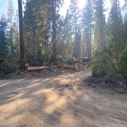 Sequoia National Park Dispersed campground