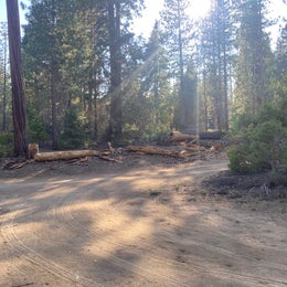 Sequoia National Park Dispersed campground