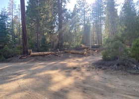 Sequoia National Park Dispersed campground 