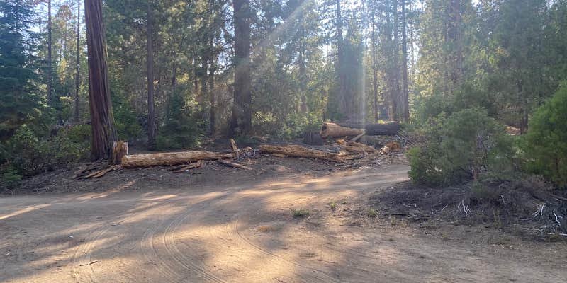 Camper submitted image from Sequoia National Park Dispersed campground