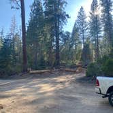 Review photo of Sequoia National Park Dispersed campground by Christopher , July 21, 2021