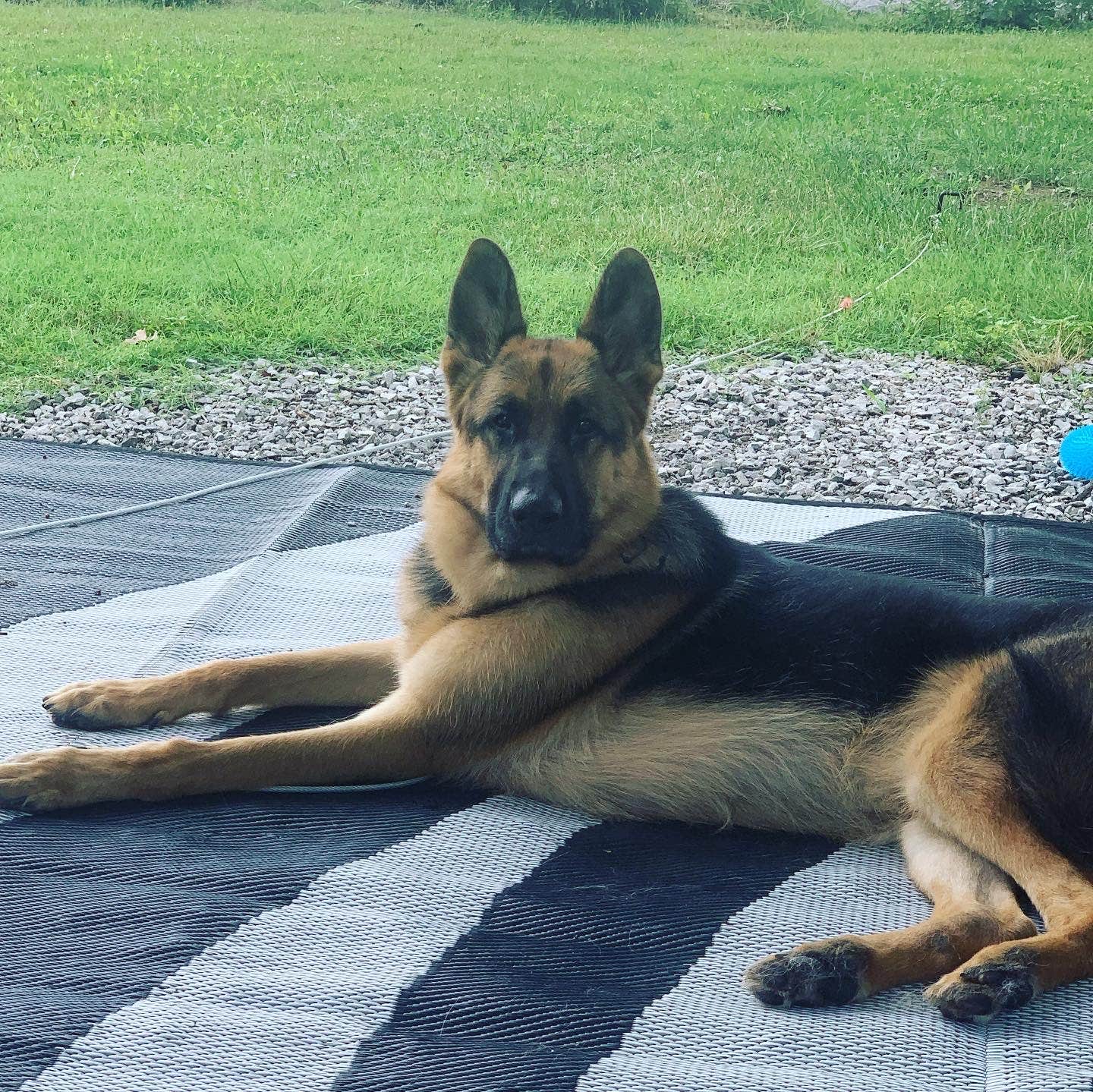 Crab Orchard Lake Campground Carbondale, IL