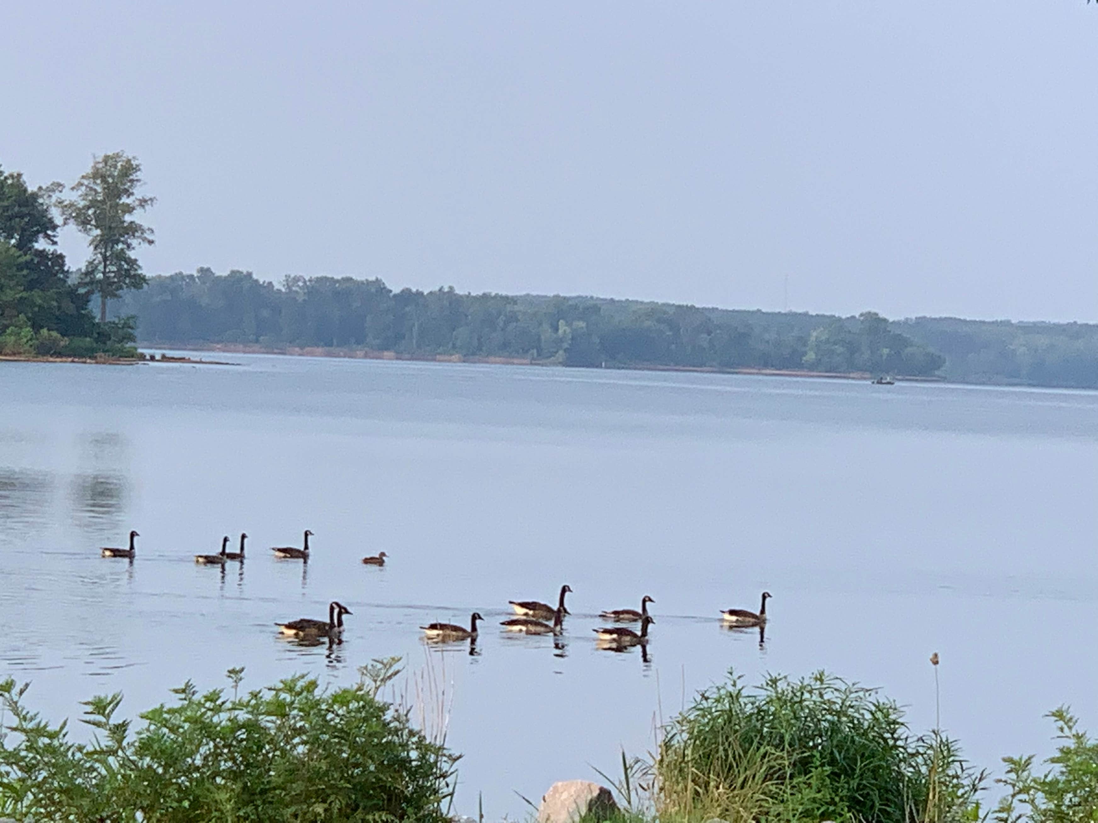 Crab Orchard Lake Campground Map