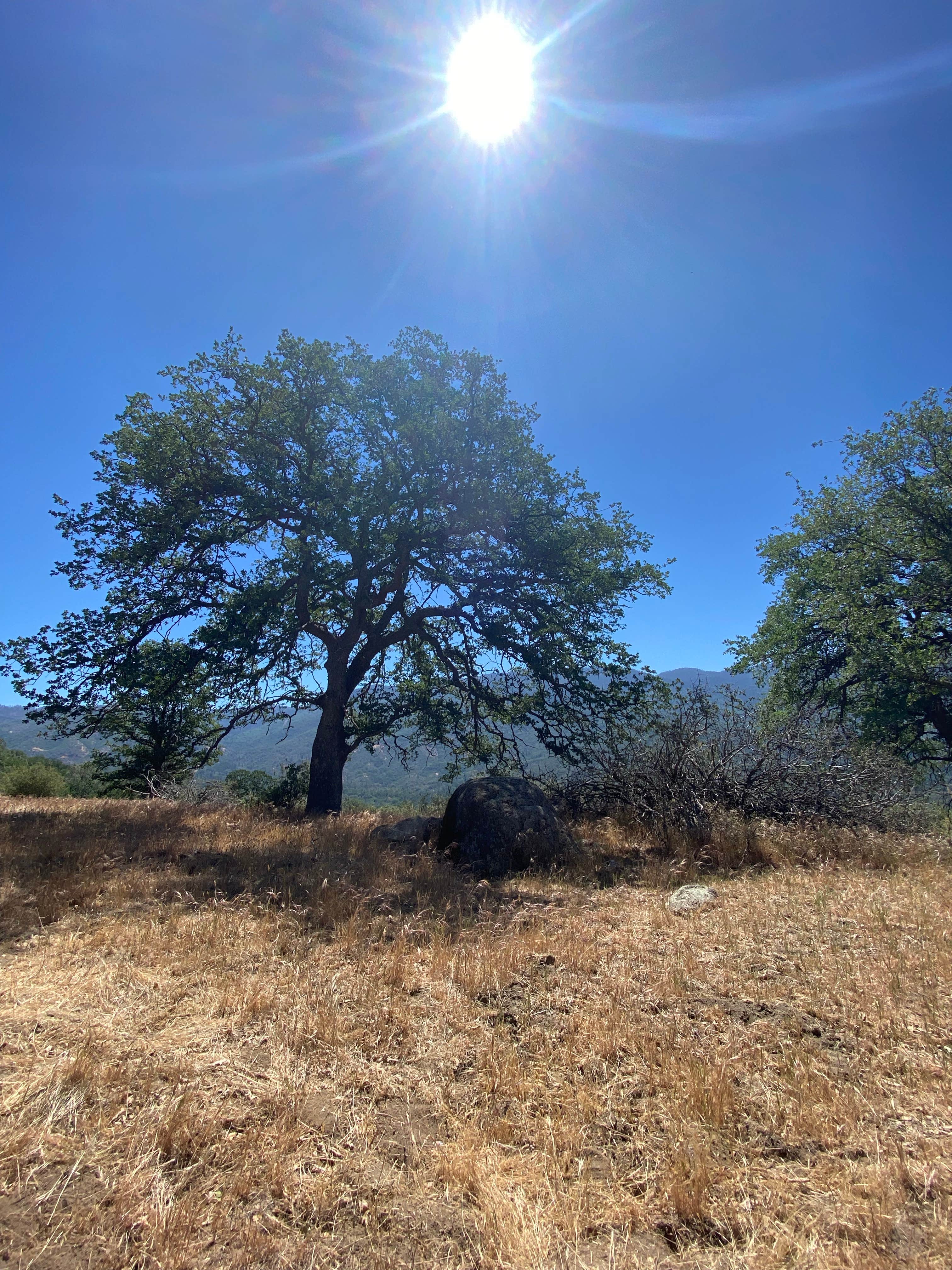 Camper-submitted photo at Alder Creek Camp near Fort Hunter Liggett, CA