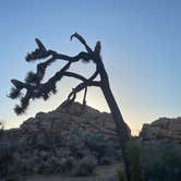 Review photo of White Tank Campground — Joshua Tree National Park by Andrew M., July 21, 2021