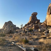 Review photo of White Tank Campground — Joshua Tree National Park by Andrew M., July 21, 2021