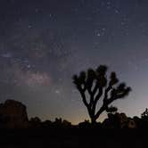 Review photo of White Tank Campground — Joshua Tree National Park by Andrew M., July 21, 2021