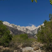 Review photo of Lone Pine by John T., July 21, 2021