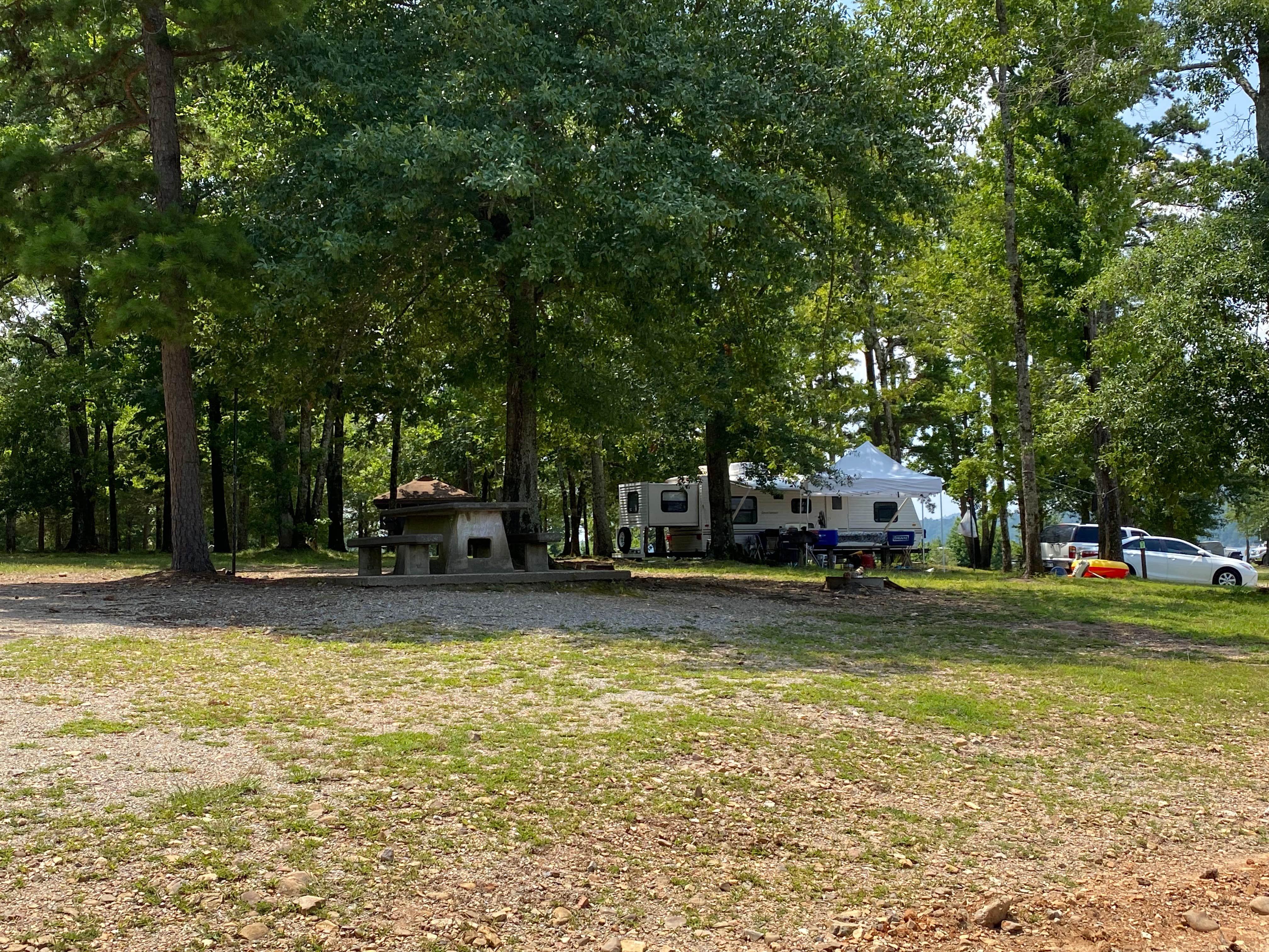 Cheri H.'s photo at Little Fir Landing in Arkansas