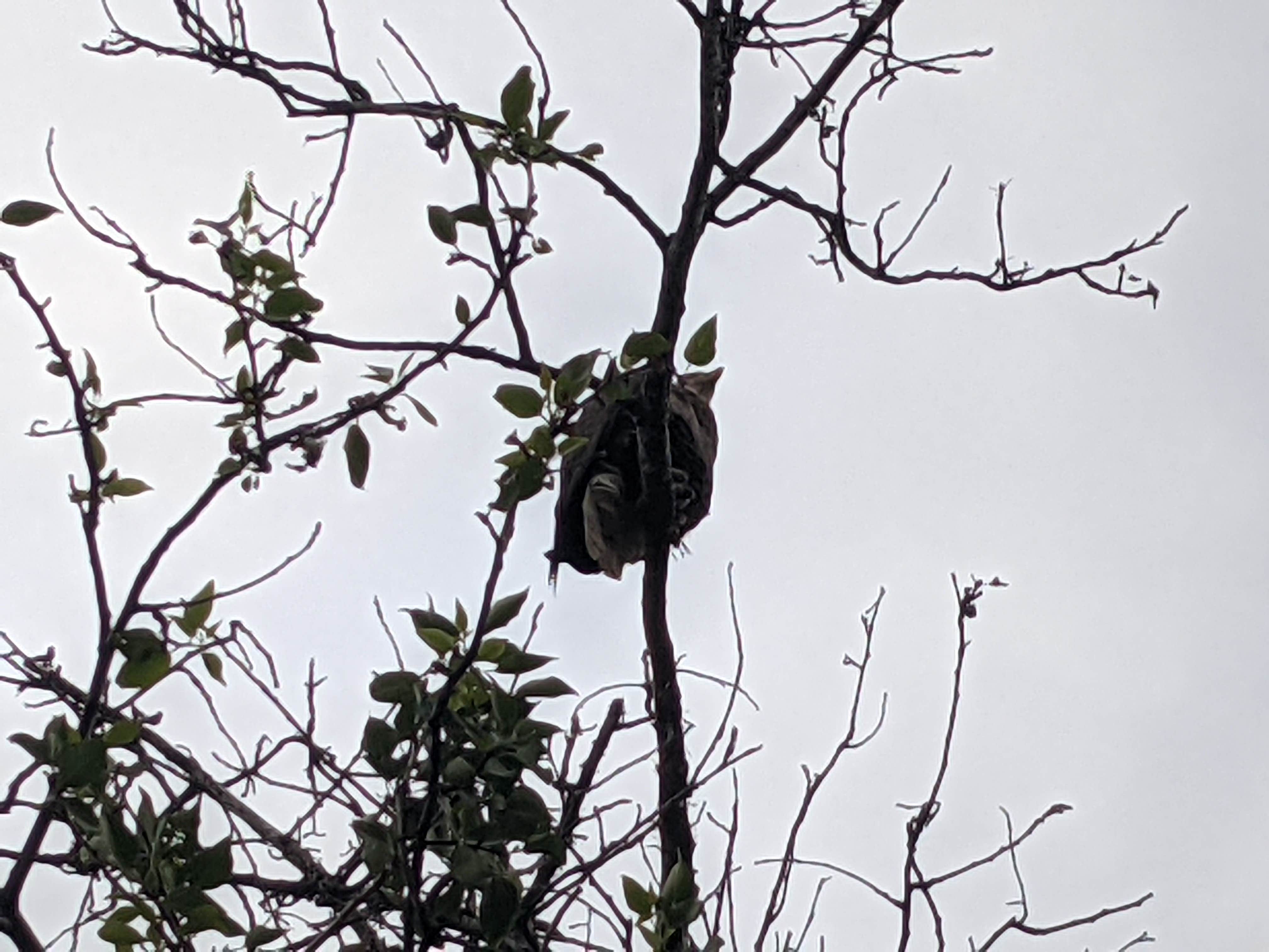 Camper-submitted photo at King For A Day Campground & Charters near Glennallen, AK