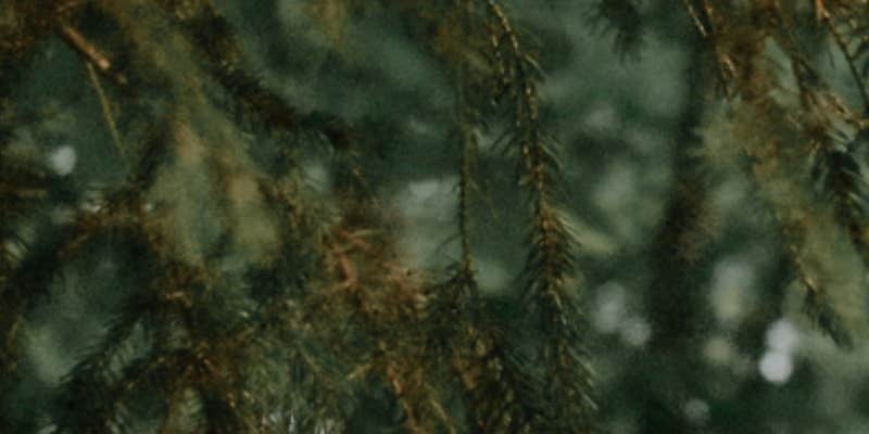 Camper submitted image from Peaks-Kenny State Park