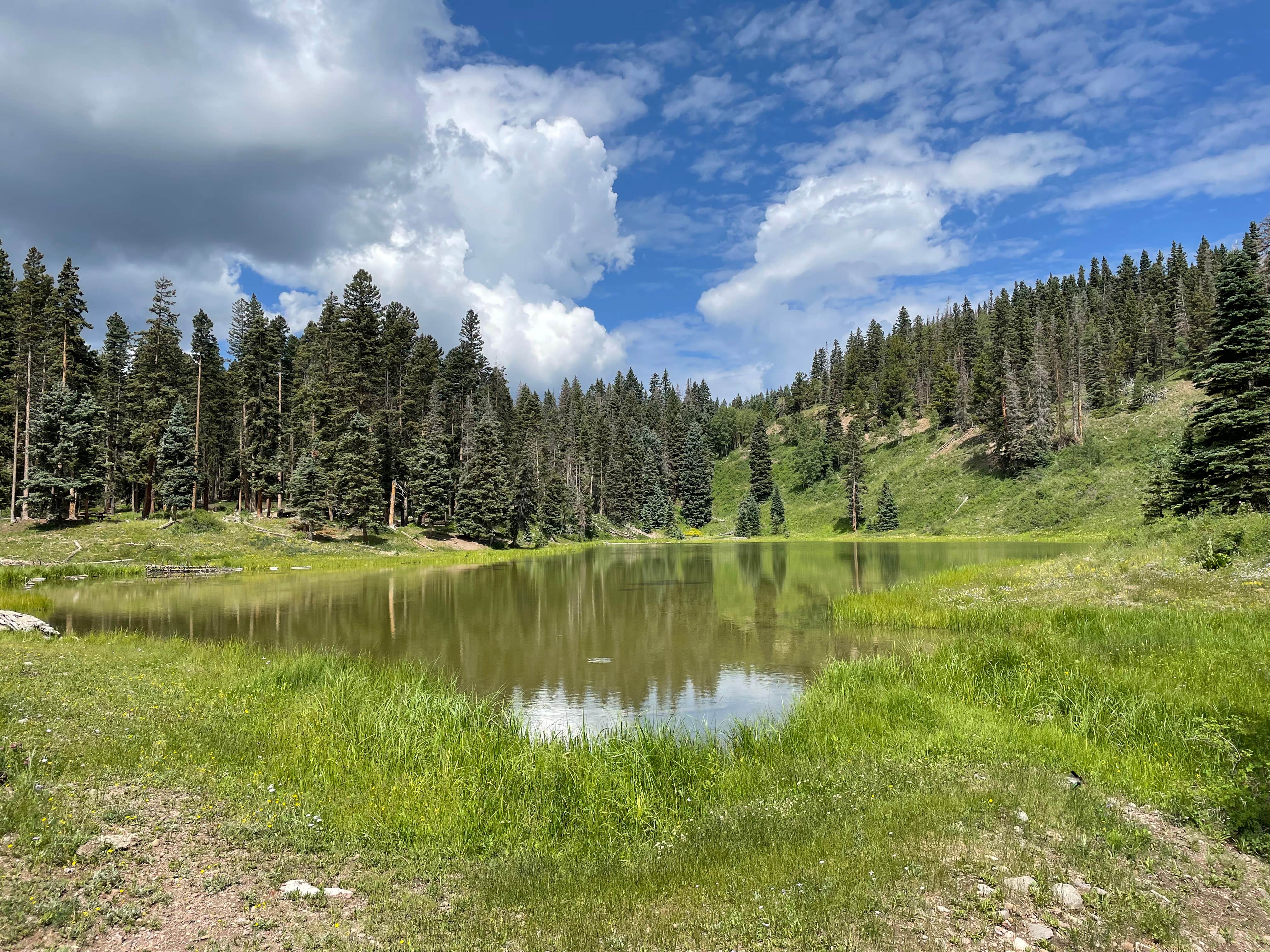 Camper submitted image from Upper Lagunitas Campground - 1