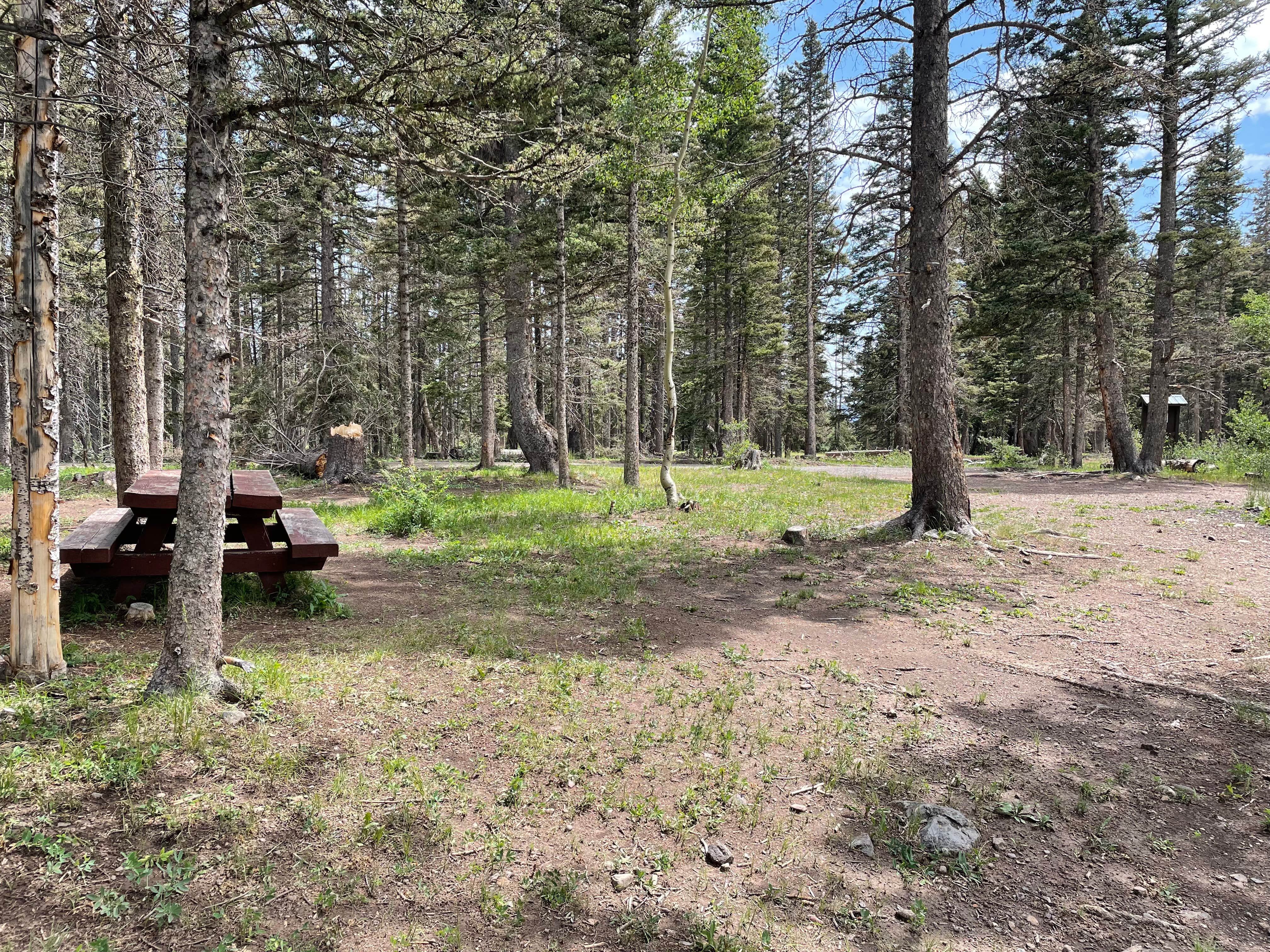 Camper-submitted photo at Upper Lagunitas Campground near Chama, NM
