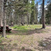 Review photo of Upper Lagunitas Campground by Megan  E., July 21, 2021