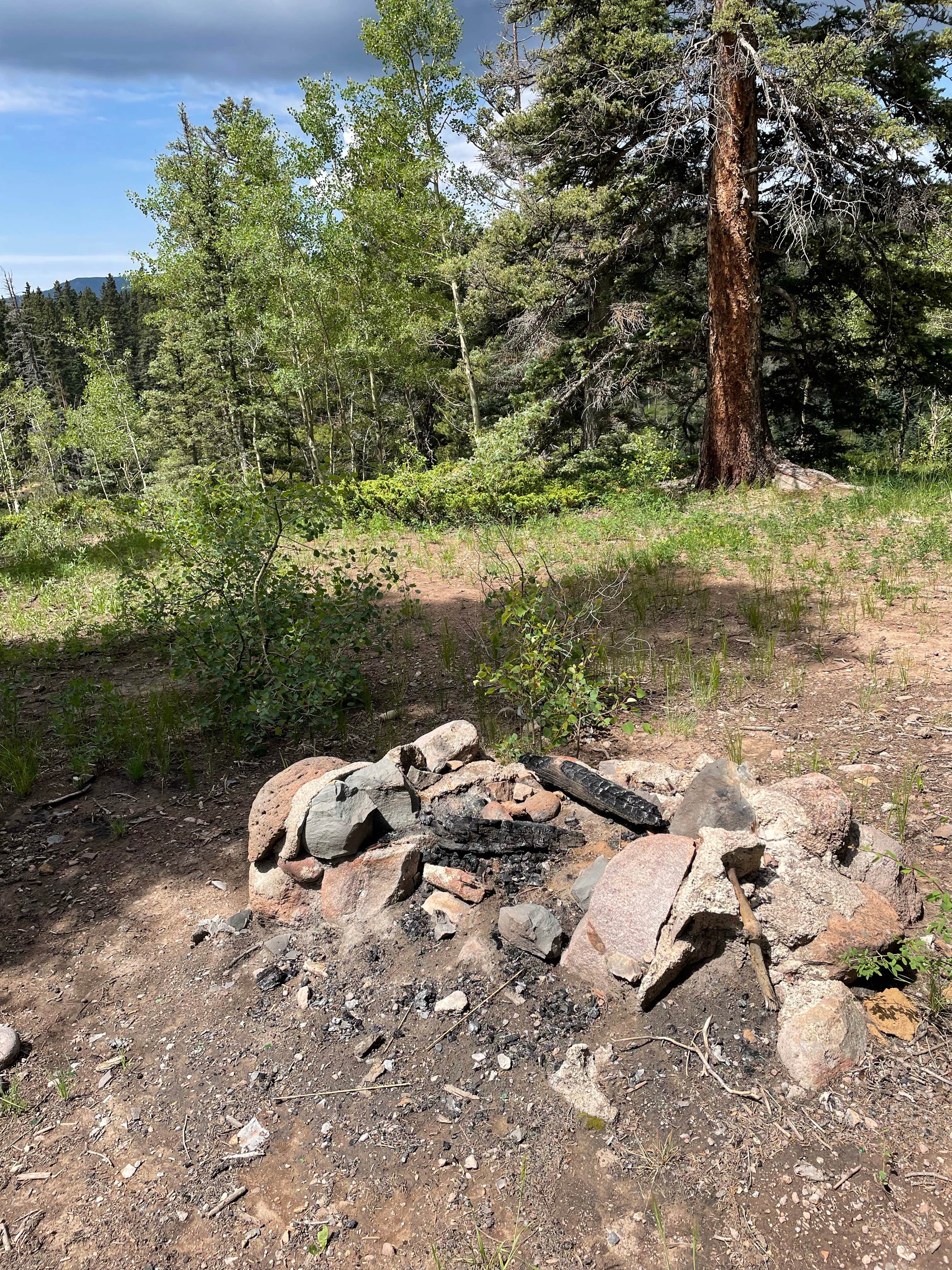 Camper-submitted photo at Upper Lagunitas Campground near Chama, NM