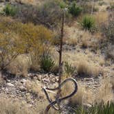 Review photo of Rio Grande Village RV Campground — Big Bend National Park by Tori M., June 15, 2018